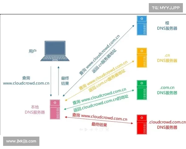 北美洲杯赛全面解析及关键信息